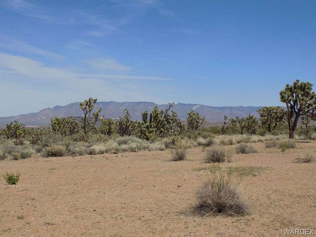 1 Acre of Residential Land for Sale in Dolan Springs, Arizona