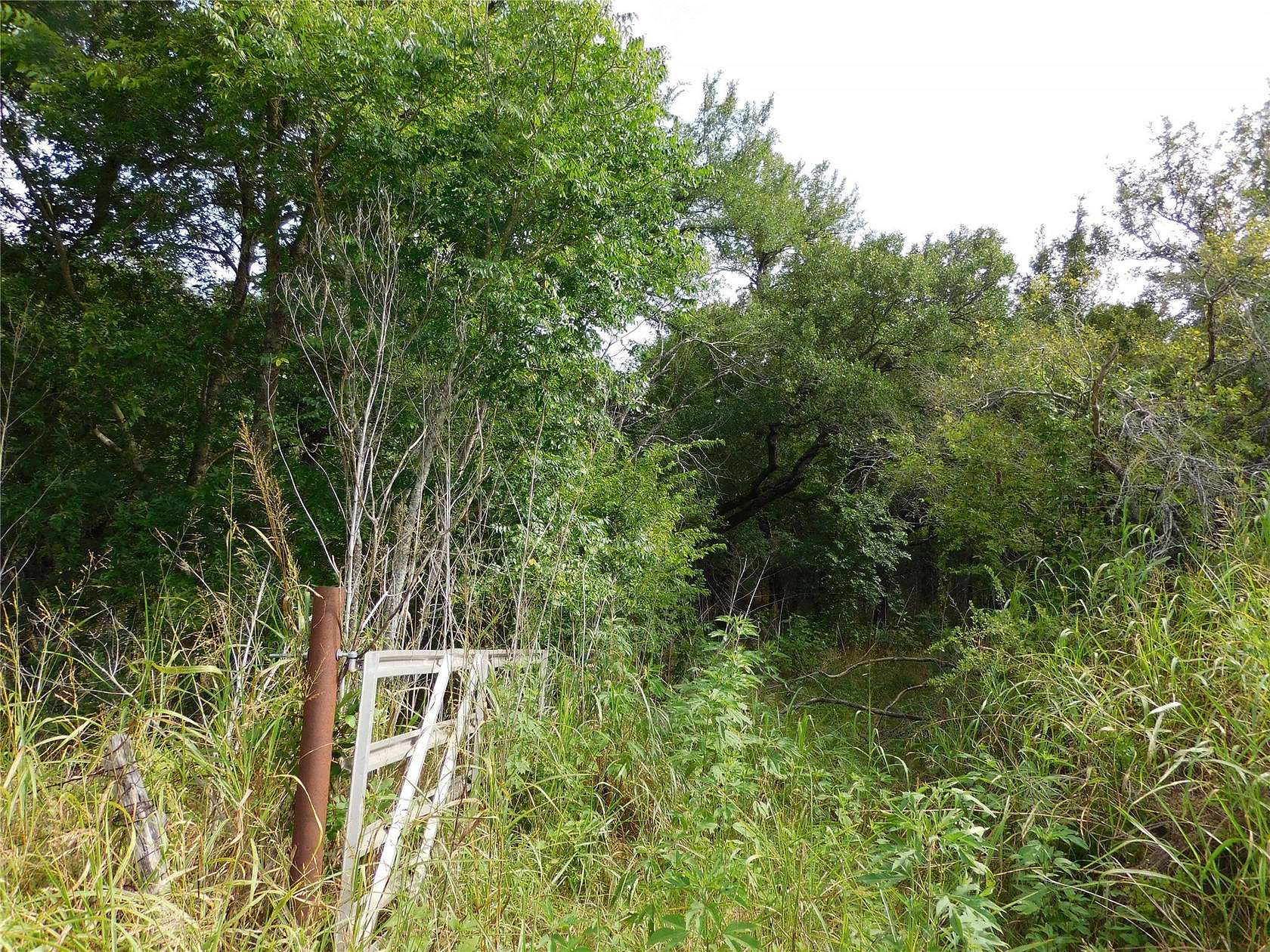 16.4 Acres of Land for Sale in Hubbard, Texas