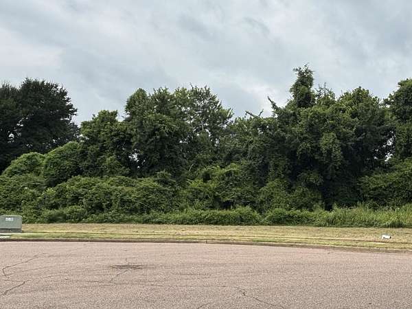 0.13 Acres of Residential Land for Sale in Memphis, Tennessee