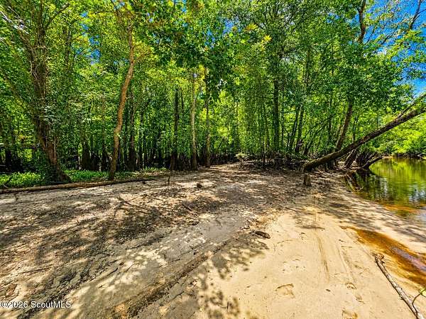0.49 Acres of Land for Sale in Nahunta, Georgia