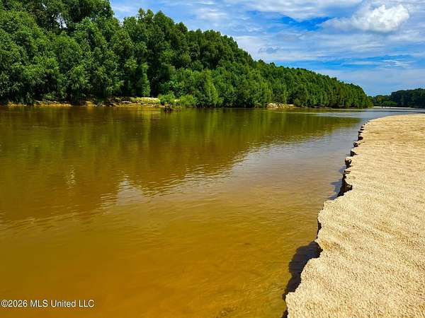 350 Acres of Recreational & Residential Land for Sale in Crosby, Mississippi