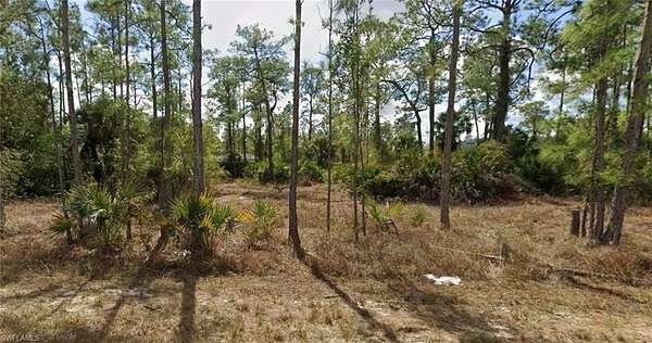0.23 Acres of Residential Land for Sale in Lehigh Acres, Florida