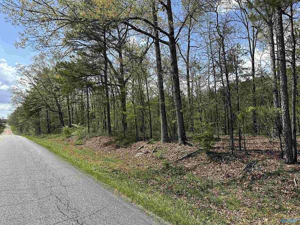 37.5 Acres of Recreational & Residential Land for Sale in Centre, Alabama
