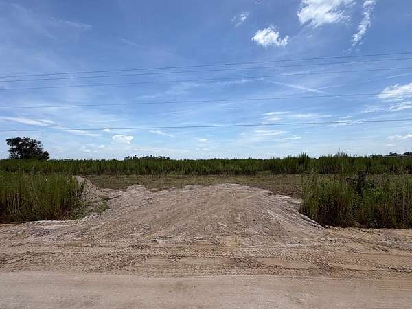7.52 Acres of Land for Sale in Lakeland, Georgia