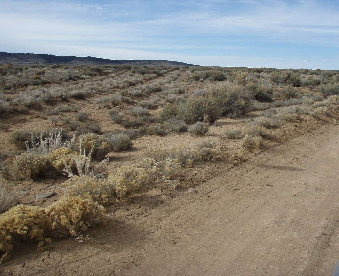 1 Acre of Residential Land for Sale in Tres Piedras, New Mexico