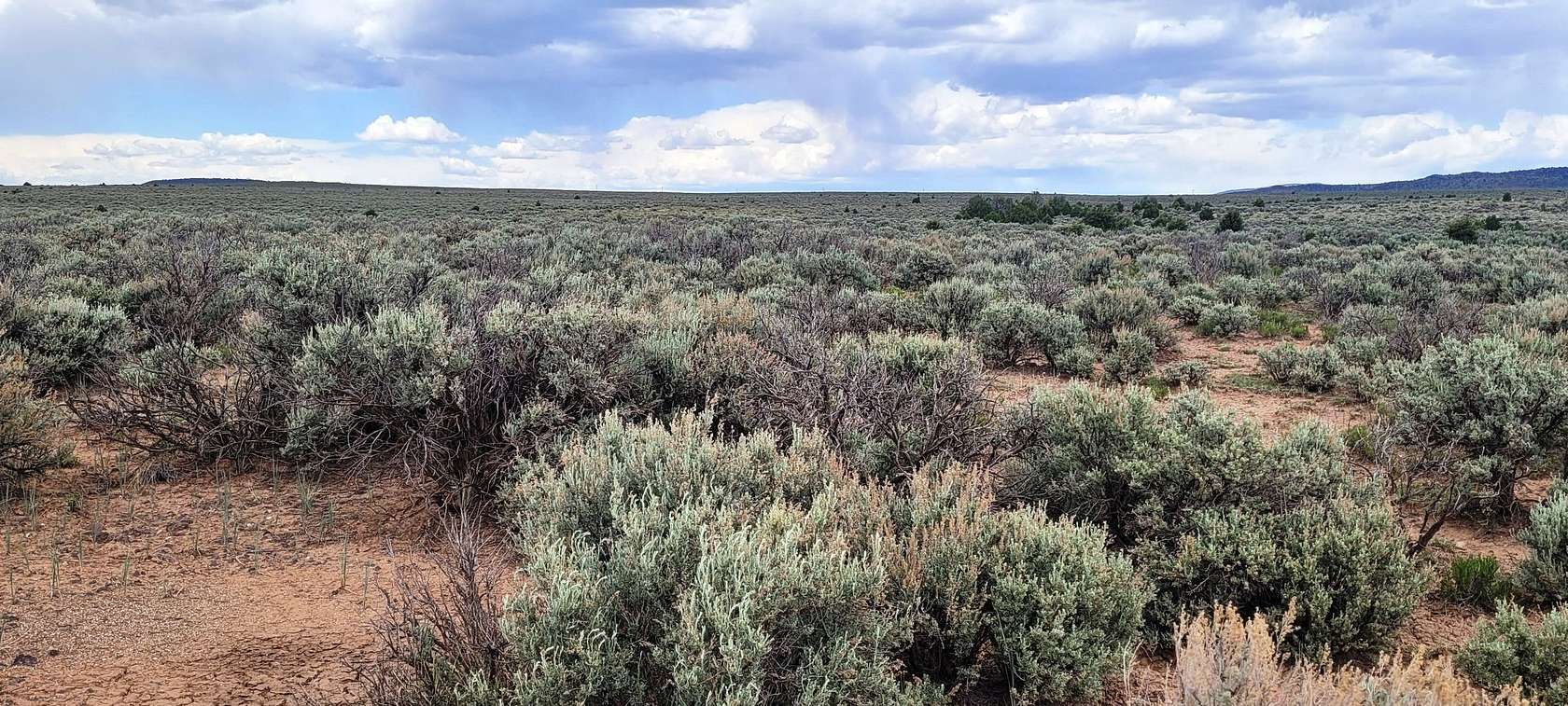 0.5 Acres of Residential Land for Sale in Tres Piedras, New Mexico