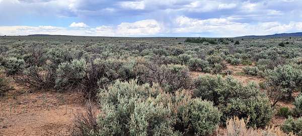 0.5 Acres of Residential Land for Sale in Tres Piedras, New Mexico