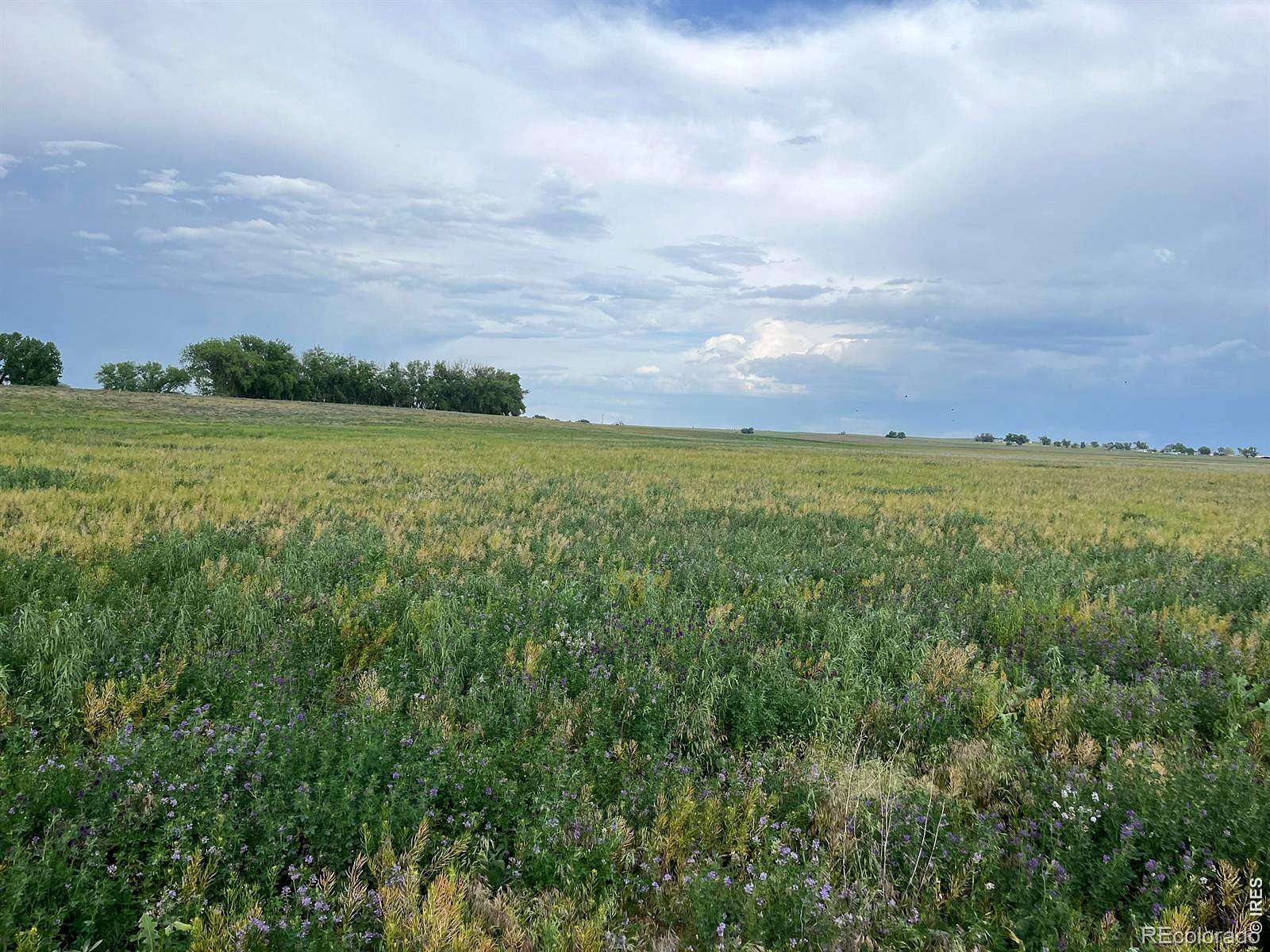 38.8 Acres of Land for Sale in Platteville, Colorado