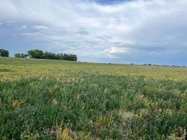 38.8 Acres of Land for Sale in Platteville, Colorado