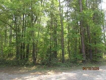 1 Acre of Residential Land for Sale in Huger, South Carolina
