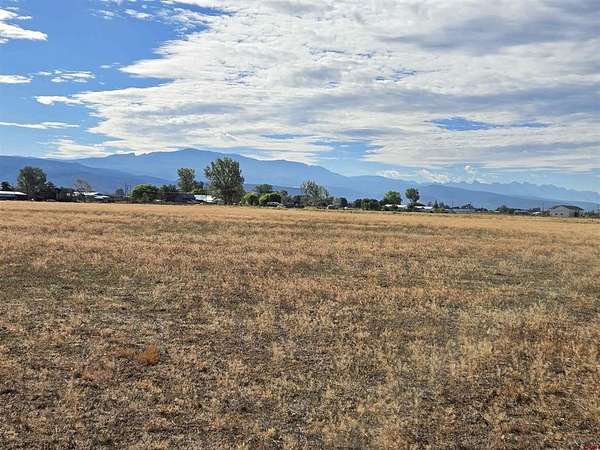 12 Acres of Land for Sale in Montrose, Colorado
