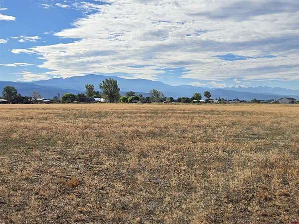 12 Acres of Land for Sale in Montrose, Colorado