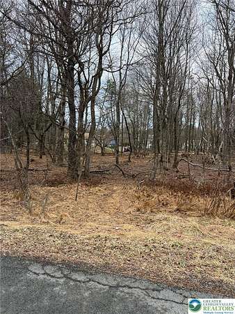 0.33 Acres of Land for Sale in Penn Forest Township, Pennsylvania