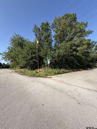 0.44 Acres of Residential Land for Sale in Tyler, Texas