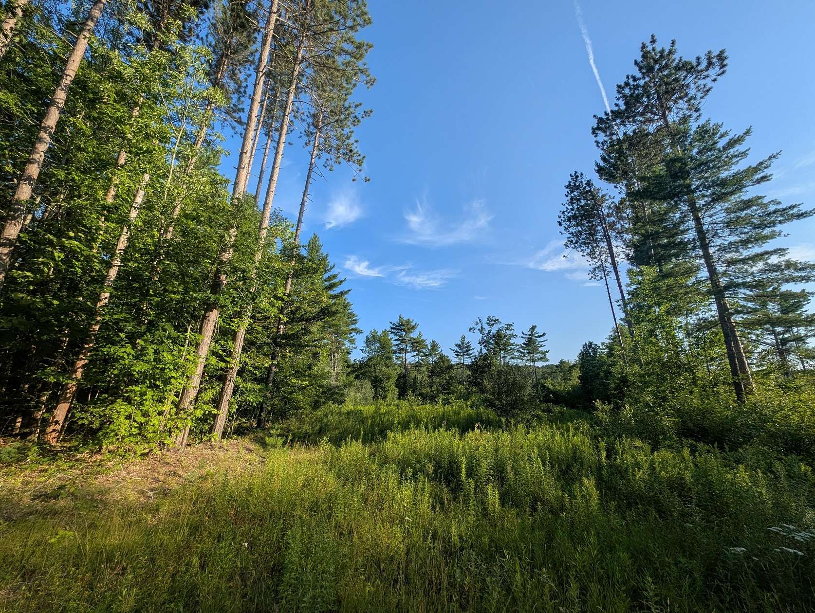 1 Acre of Residential Land for Sale in Litchfield Town, Maine