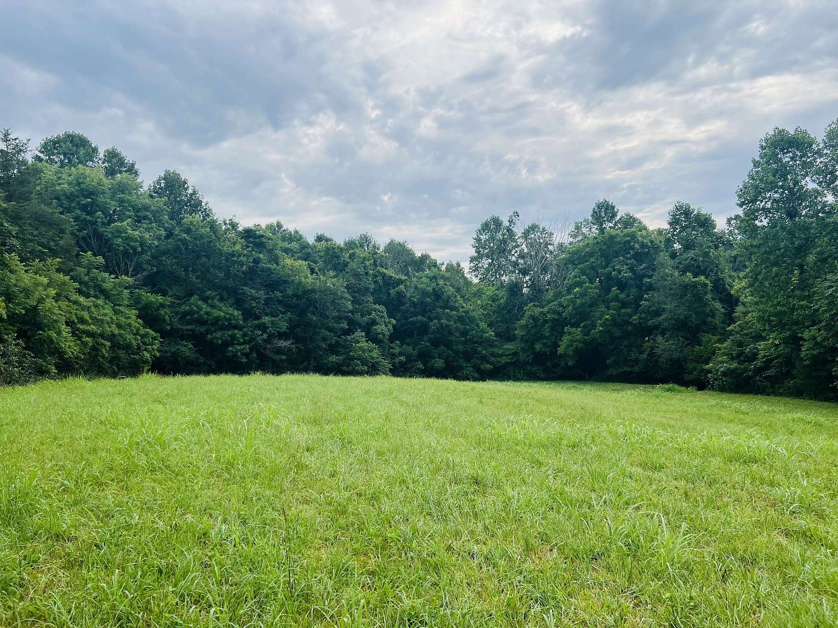 22.6 Acres of Land for Sale in Westmoreland, Tennessee