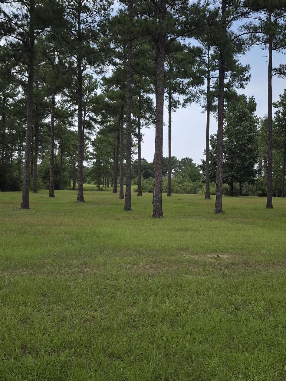 1 Acre of Land for Sale in Andalusia, Alabama