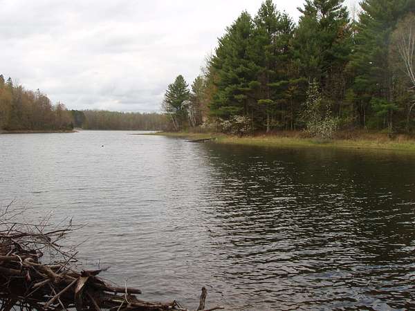 42 Acres of Recreational Land for Sale in Park Falls, Wisconsin