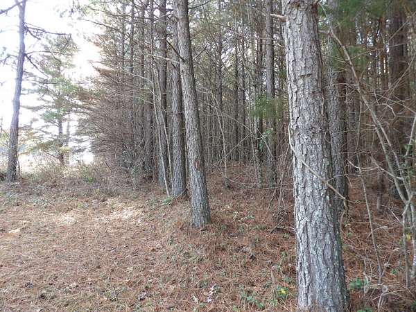 10 Acres of Land for Sale in Evensville, Tennessee