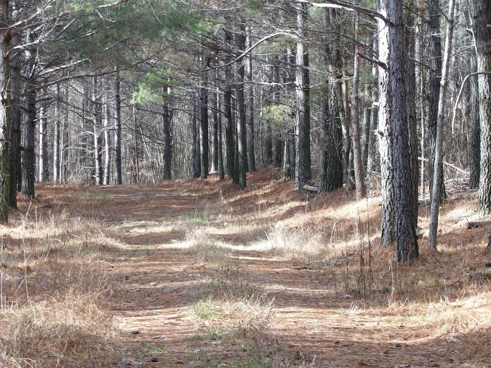 340 Acres of Recreational Land for Sale in Evensville, Tennessee