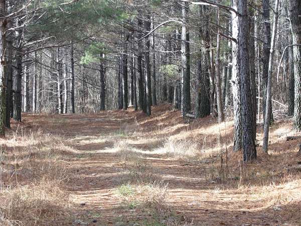 340 Acres of Recreational Land for Sale in Evensville, Tennessee