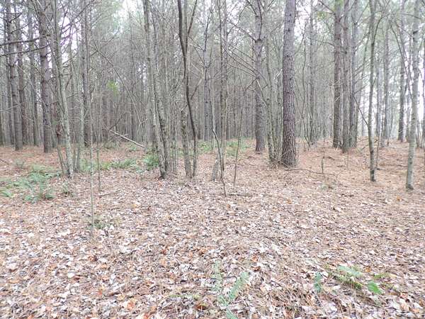 11 Acres of Land for Sale in Evensville, Tennessee
