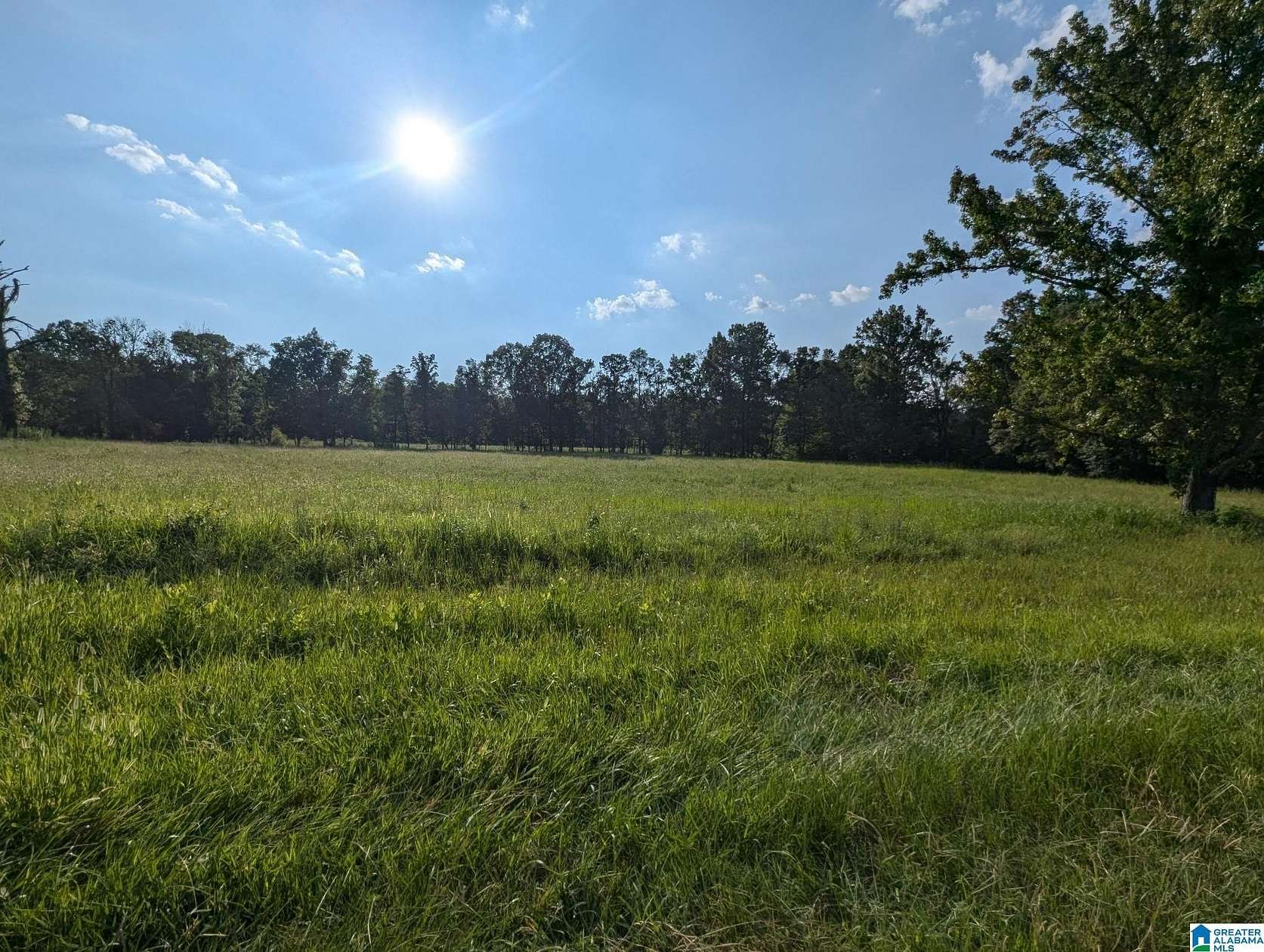 6.63 Acres of Residential Land for Sale in Ashville, Alabama