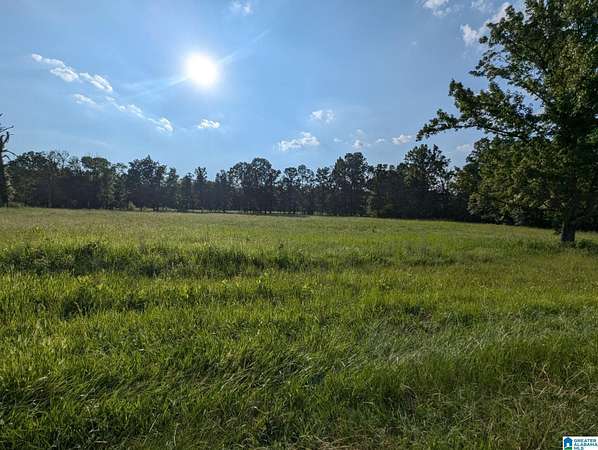 6.63 Acres of Residential Land for Sale in Ashville, Alabama