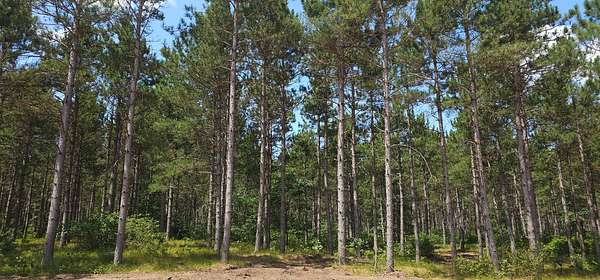 3.55 Acres of Residential Land for Sale in Rome, Wisconsin