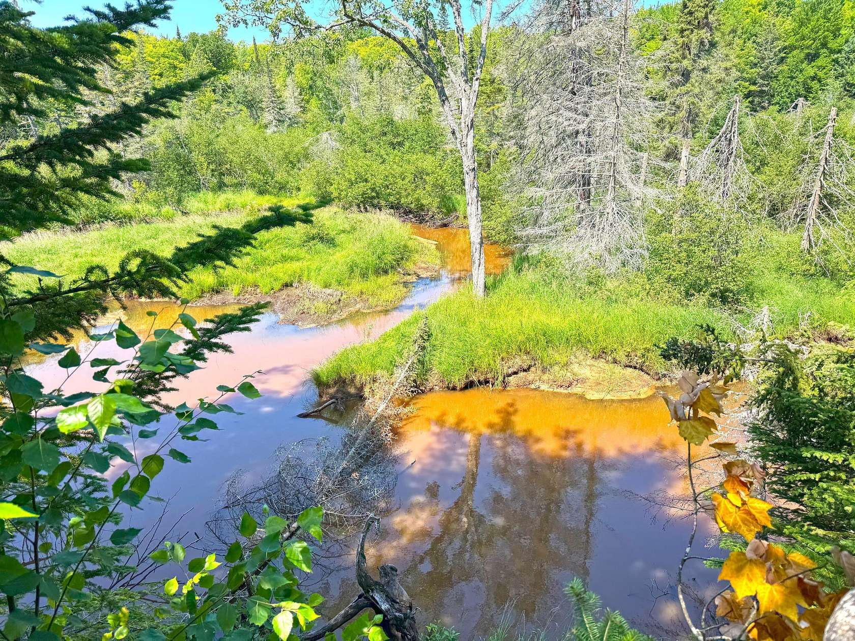 40 Acres of Recreational Land with Home for Sale in Paradise, Michigan