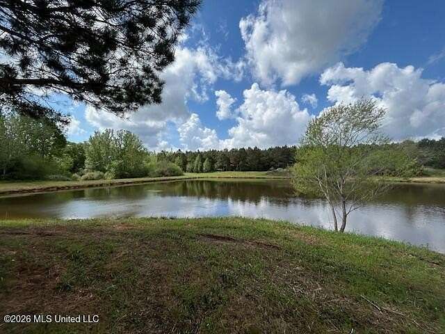 185 Acres of Land for Sale in Tylertown, Mississippi