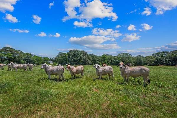 143 Acres of Land for Sale in Alto, Texas