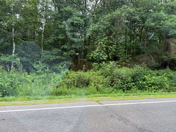 87 Acres of Land for Sale in Spooner, Wisconsin