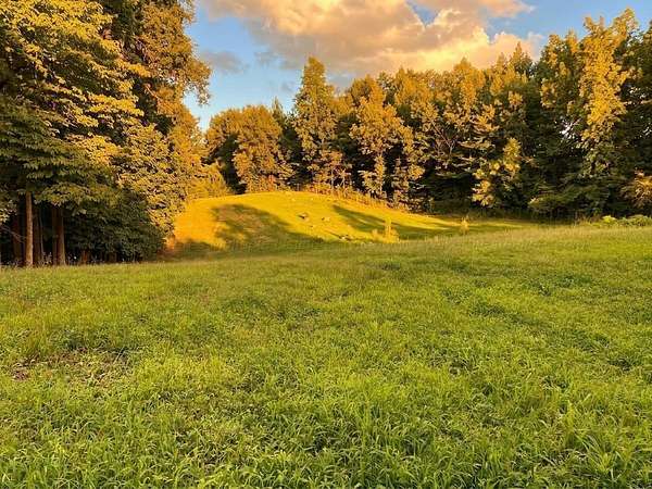 8.8 Acres of Land with Home for Sale in Cordova, Alabama
