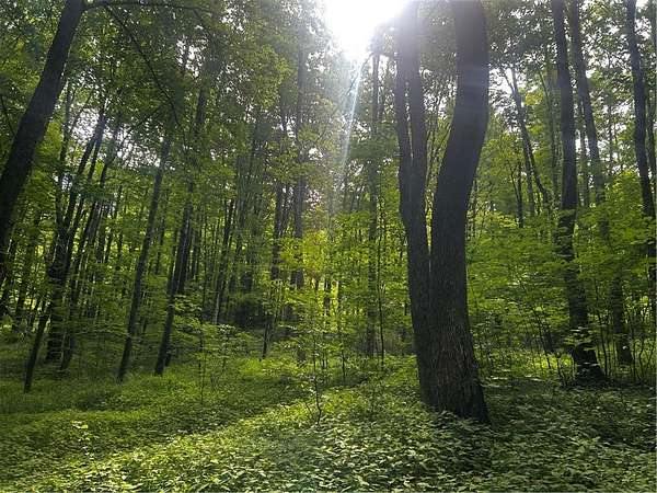 9.12 Acres of Land for Sale in Decatur, New York