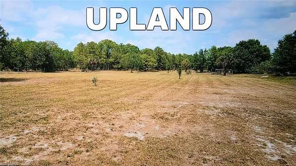 2.5 Acres of Land for Sale in Naples, Florida
