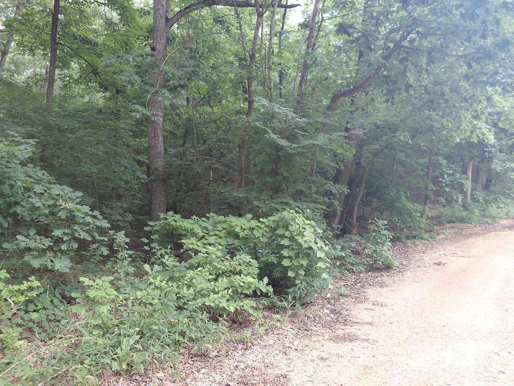 0.5 Acres of Residential Land for Sale in Highland, Arkansas