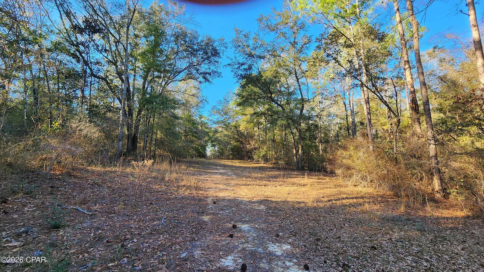 29 Acres of Land for Sale in Graceville, Florida