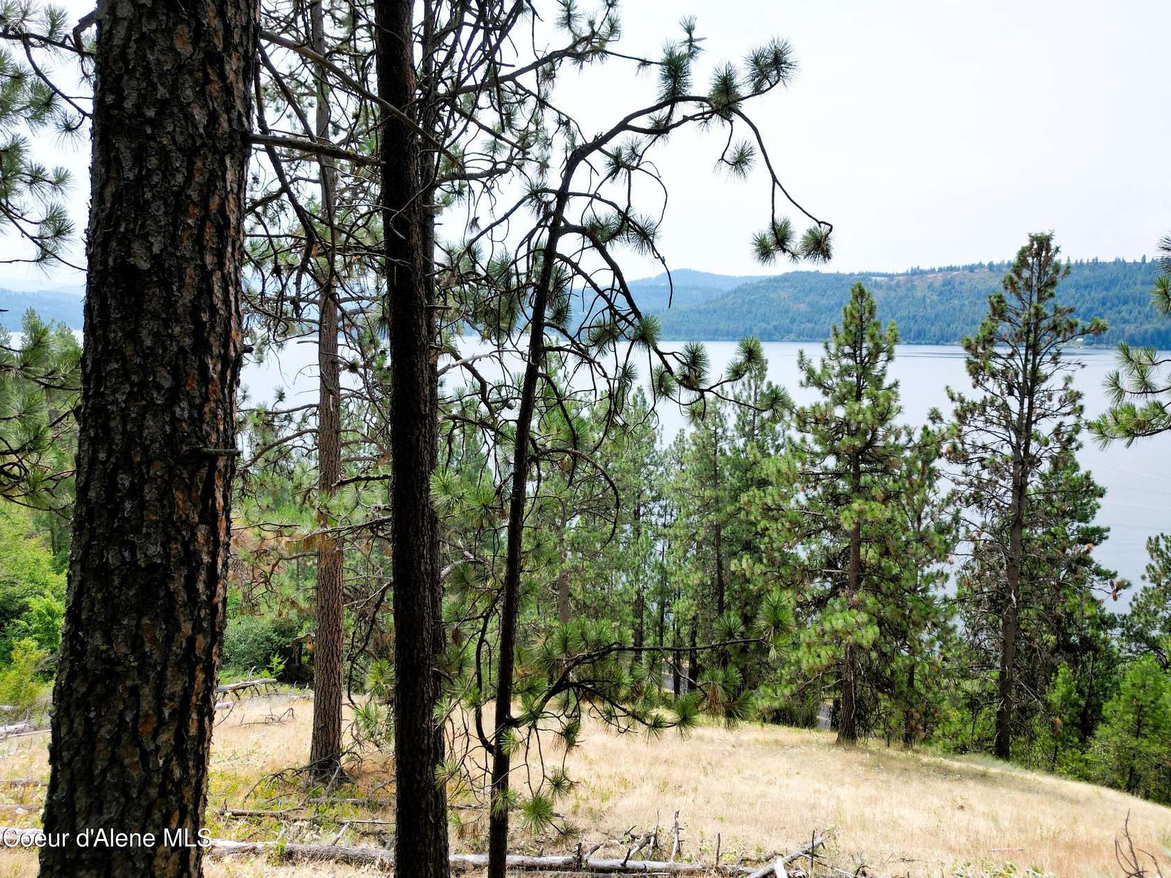 2.26 Acres of Residential Land for Sale in Harrison, Idaho