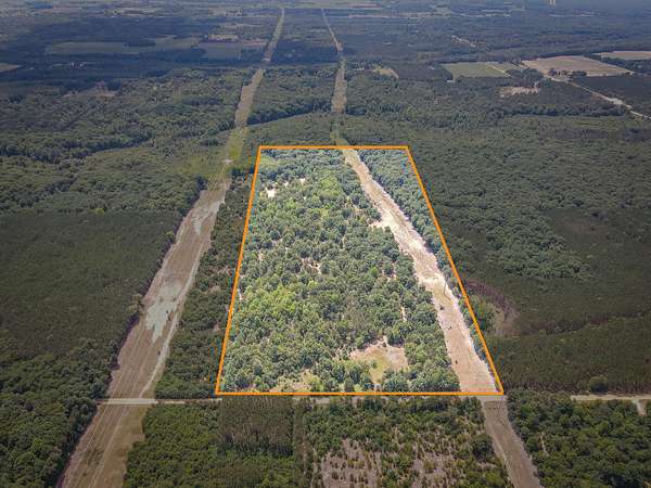 54 Acres of Land for Sale in Pentwater, Michigan