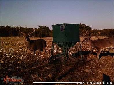 50.8 Acres of Recreational & Residential Land for Sale in Sonora, Texas