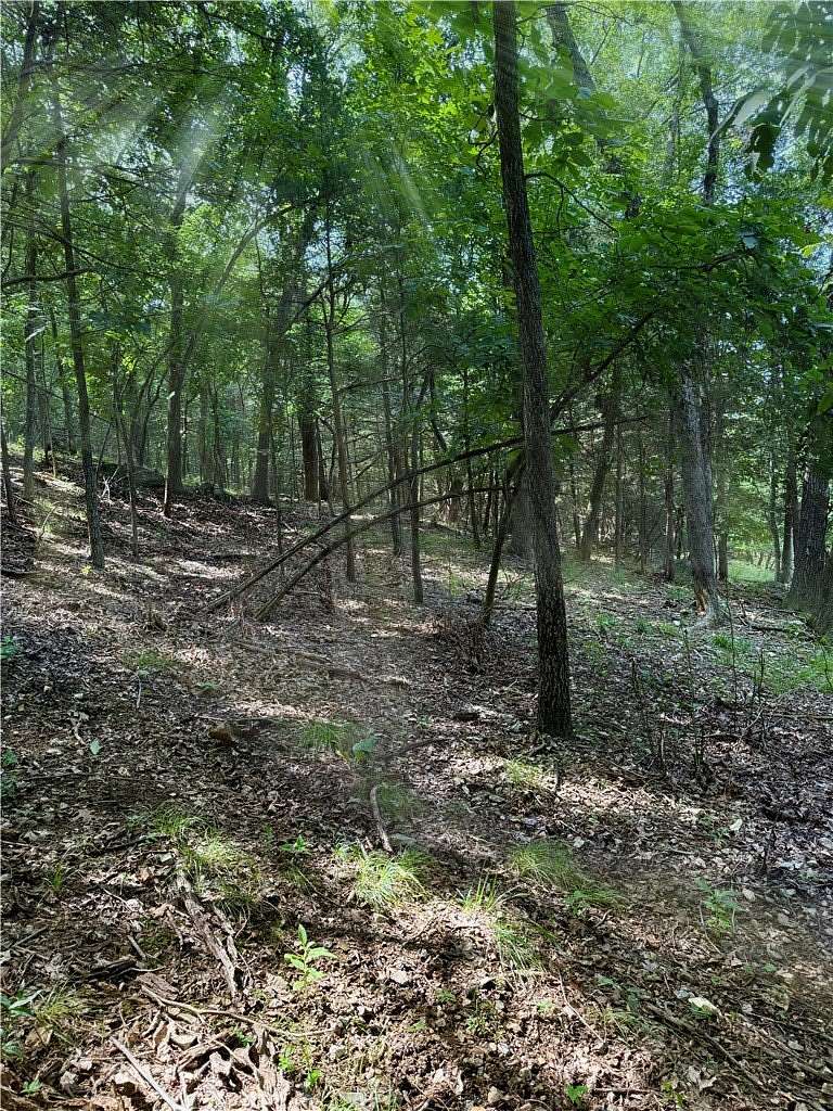 0.33 Acres of Residential Land for Sale in Garfield, Arkansas