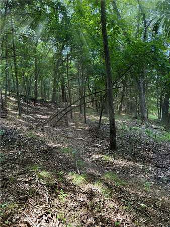 0.33 Acres of Residential Land for Sale in Garfield, Arkansas
