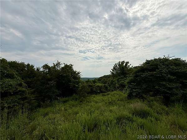 2 Acres of Residential Land for Sale in Edwards, Missouri