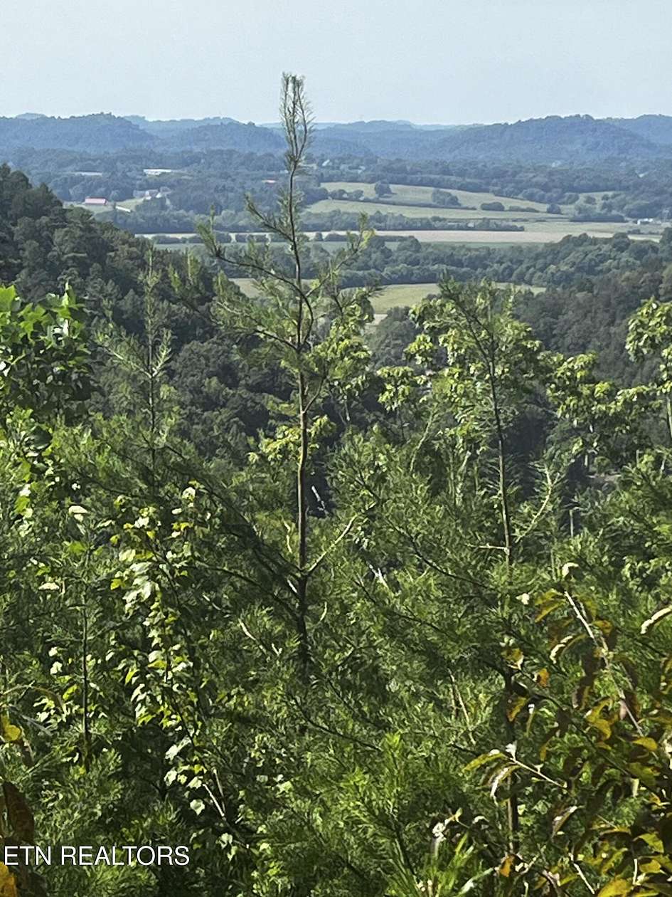 5 Acres of Land for Sale in Tellico Plains, Tennessee