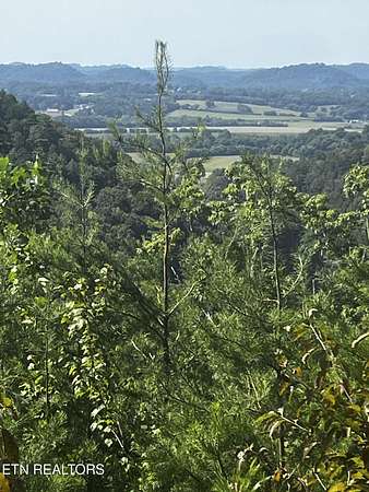 5 Acres of Land for Sale in Tellico Plains, Tennessee