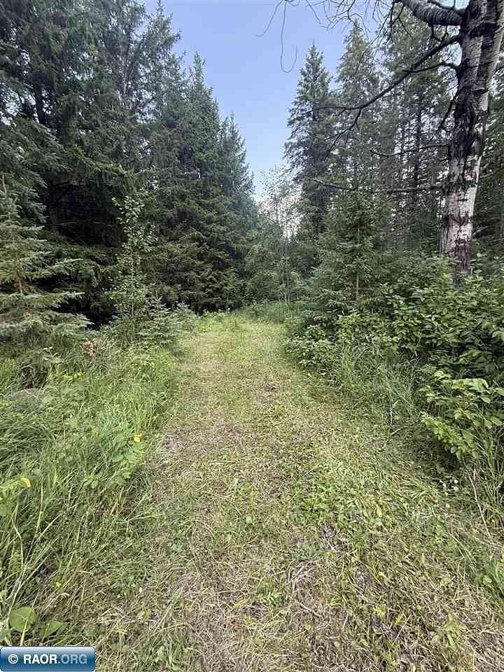 18.1 Acres of Land for Sale in Cook, Minnesota