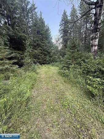 18.1 Acres of Land for Sale in Cook, Minnesota