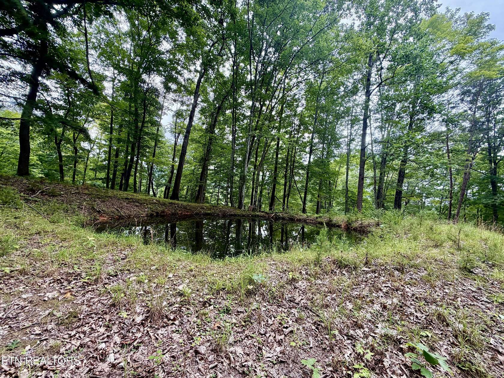 37 Acres of Land for Sale in Tazewell, Tennessee