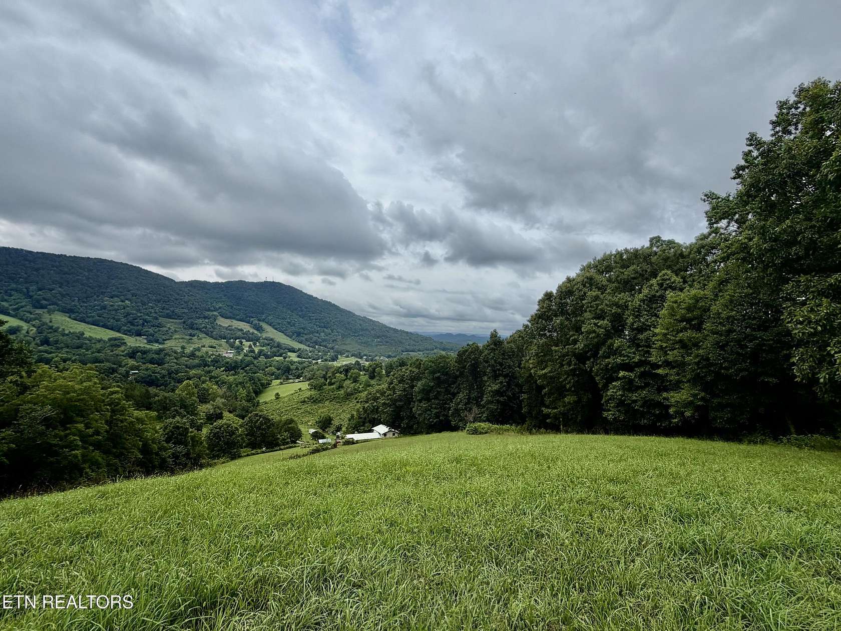 37 Acres of Land for Sale in Tazewell, Tennessee